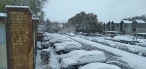 Busier than a Bee Roadside Assistance tow service company in , offering 24 hour towing near me